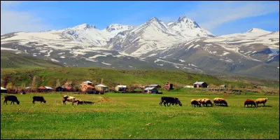Quelle montagne, volcan éteint, est, avec ses 4 095 mètres, le point culminant du massif du Petit Caucase et aussi celui de l'Arménie ?