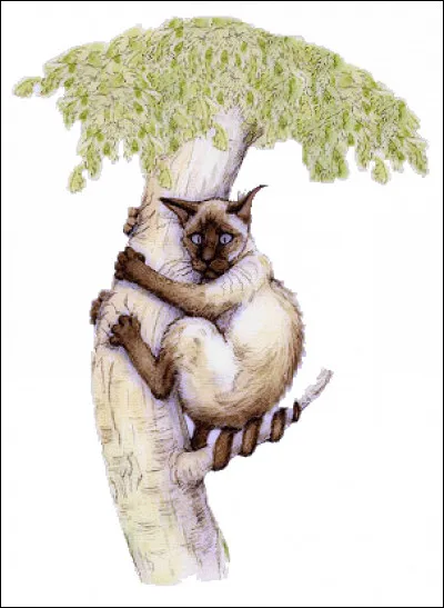 Vous préférez jouer au chat perché ! So, we play...