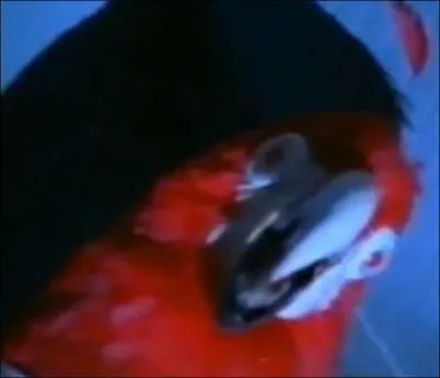 Buster se retrouve enferm en hpital psychiatrique dans un pisode de :