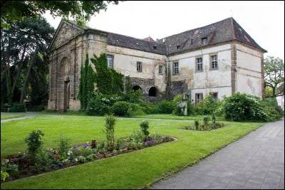 Coup de griffe par derrière, c'est l'...