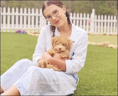 Combien de chiens a-t-elle (en août 2020) ?