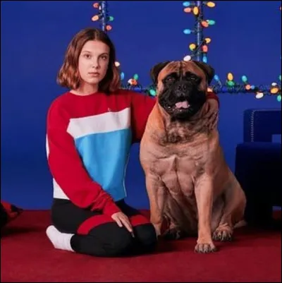 Comment s'appellent-ils ?