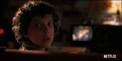 Quel est le vrai nom de Millie ?