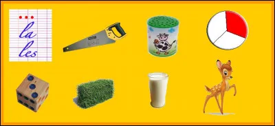 Faites votre choix !