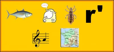 Faites votre choix !