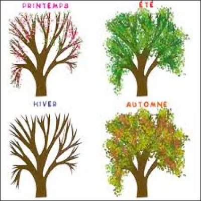 Quelle saison préfères-tu ?
