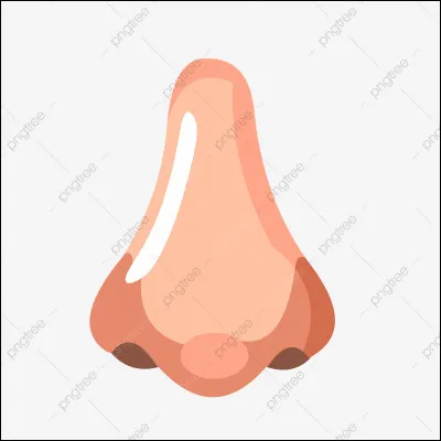 Quelle odeur préfères-tu ?