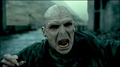 Quel sort Harry a-t-il utilisé pour vaincre Voldemort ?