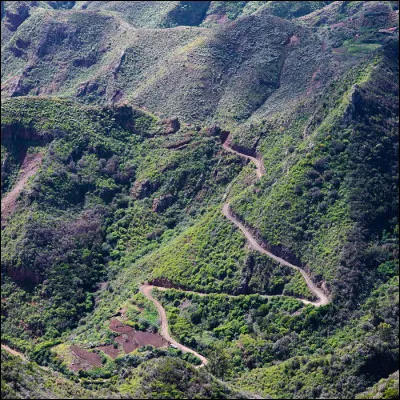 Imagine que tu es un cycliste professionnel et que tu t'apprêtes à monter la terrible montée de l'Alpe d'Huez, que vas-tu faire ?