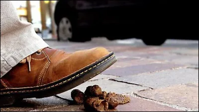 As-tu d&eacute;j&agrave; march&eacute; dans une crotte de chien ?