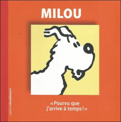 Mi comme Milou : de quelle race est le célèbre chien ?