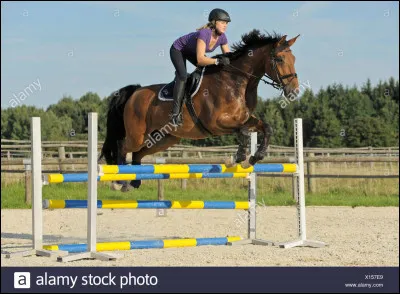 Comment s'appelle cet obstacle ?