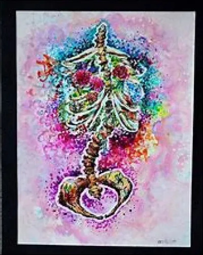 Combien y a-t-il de vertèbres sacrées et coccygiennes ?