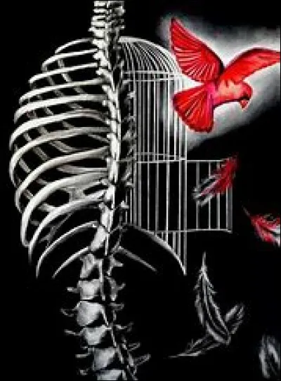 Quand a été créé le corset lyonnais ?