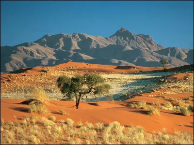 Na comme Namibie : avec quel pays la Namibie n'est-elle pas voisine ?