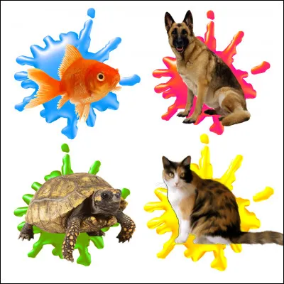 Quel est ton animal préféré ?