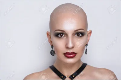 Quel animal était une emballonure ?