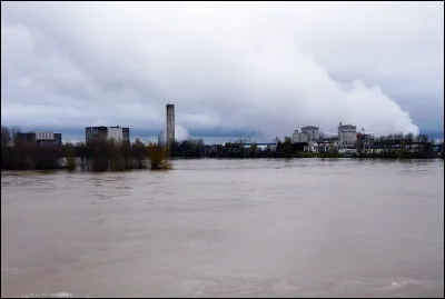 De quelle céréale, le haveron est-il une espèce sauvage ?
