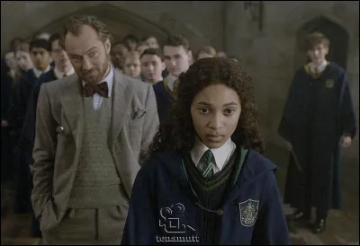 Quand Harry va affronter son épouvantard, le Professeur Lupin l'en empêche. Pourquoi ?