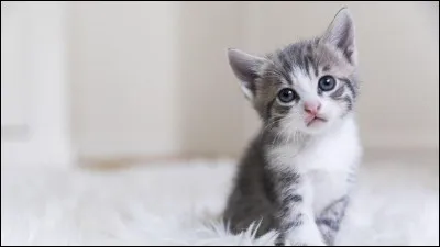 Tu pr&eacute;f&egrave;res :