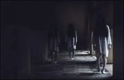 Quelle est la différence entre les yurei et les yōkai ?