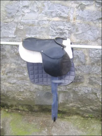 Quelle est cette selle ?