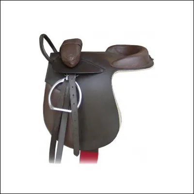 Quelle est cette selle ?