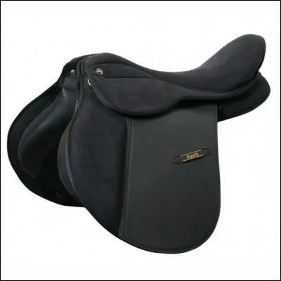 Quelle est cette selle ?