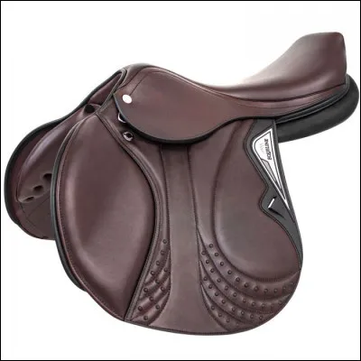 Quelle est cette selle ?
