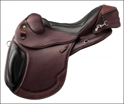Quelle est cette selle ?