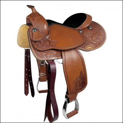 Quelle est cette selle ?
