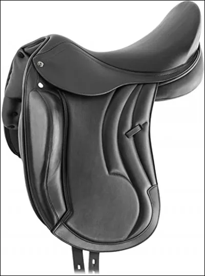Quelle est cette selle ?