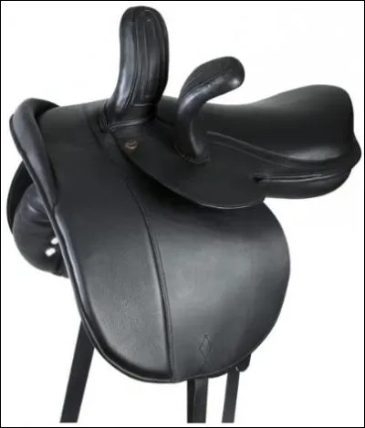 Quelle est cette selle ?