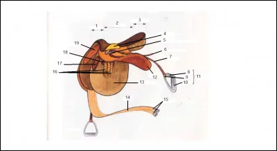 Quelle est la partie n°6 de la selle sur cette image ?