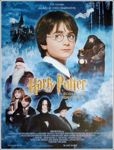 Qui est le meilleur ami de Harry Potter ?