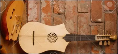 Quel luthier italien originaire de Cr&eacute;mone cr&eacute;a le violon &agrave; partir de la viole vers 1560 ?