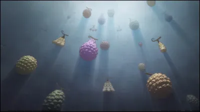 Combien y a-t-il de types de fruits du démon ?