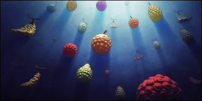 Si on mange un fruit du démon, que ne peut-on plus faire ?