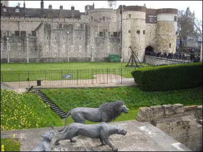 A l'époque de la Renaissance, il existait un moyen de visiter la Tour de Londres et sa ménagerie, sans payer l'entrée !