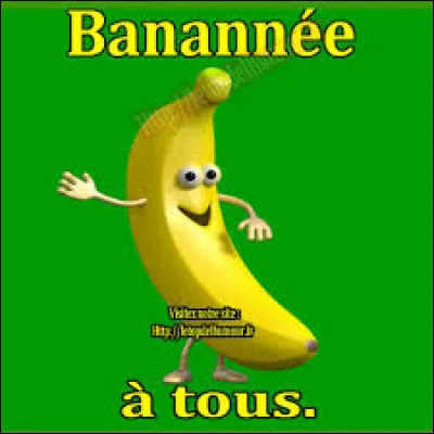 L'être humain et la banane partagent ... % de leur ADN !