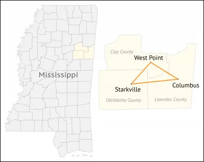 Si les deux côtés d'un triangle rectangle ont respectivement une longueur de 6 cm et 8 cm, quelle est la longueur de l'hypothénuse ?