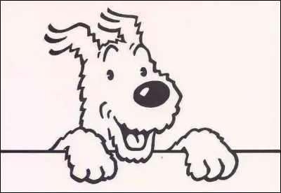 Comment s'appelle le chien de Tintin ?