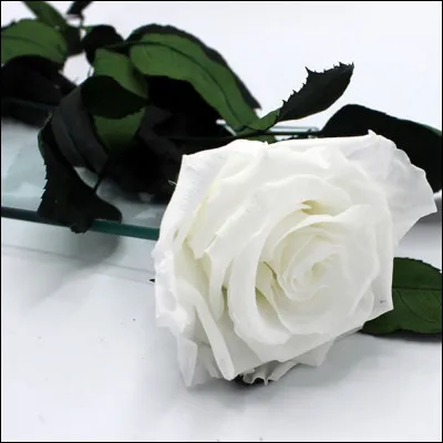 Et enfin que voyez-vous ?