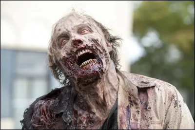 Après combien de coups d'épée en diamant un zombie meurt-il ?