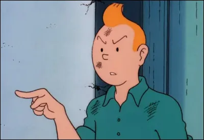 Que lui répond Tintin  ?
