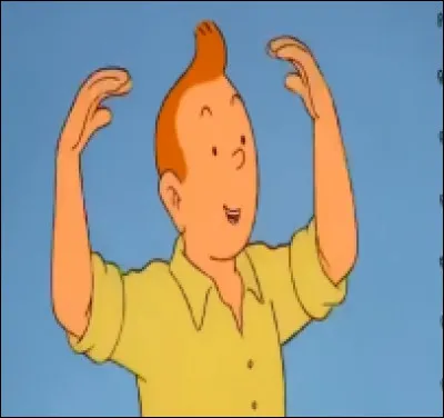 Quelle expédition Tintin propose-t-il d'engager  ?
Dans quel océan est tombé l'aérolithe  ?