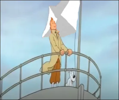 De quelle couleur est le drapeau du bateau  ?