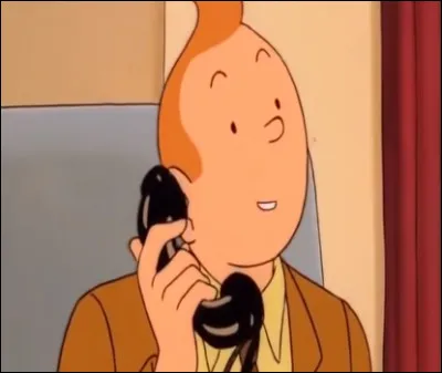 Que dit l'interlocuteur avant qu'il raccroche  ?