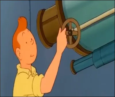 Quel animal est apparu dans cette étoile lorsque Tintin regarde dans l'objectif  ?