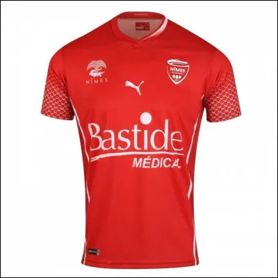 A quelle équipe appartient ce maillot ?